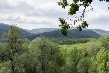 yeşil dağlara güzel bir görünüm