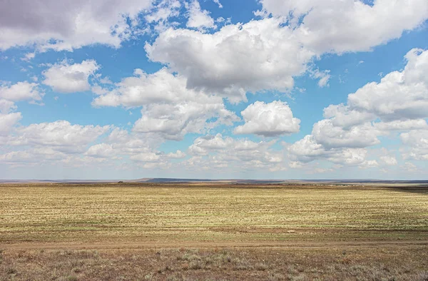 Vista Bonito Campo Cielo — Foto de Stock