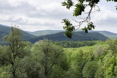 yaz aylarında dağlara güzel bir görünüm