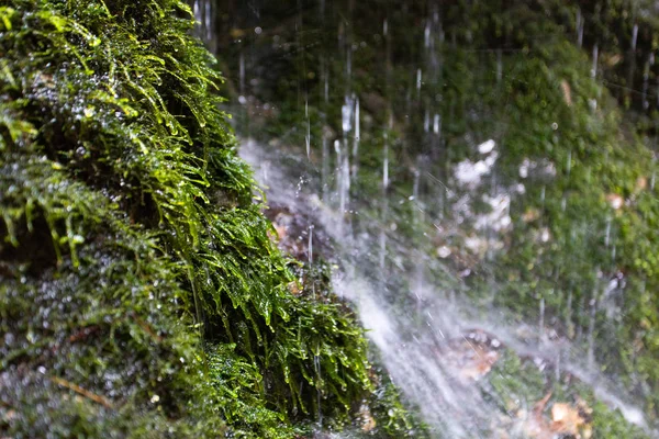 Malebná Střela Nádherného Proudu Horských Vod Autumském Lese — Stock fotografie