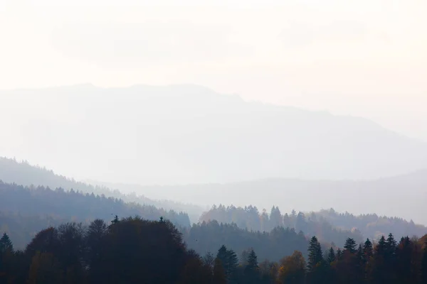 Scenic Shot Van Prachtige Mistige Berg Woud Landschap — Stockfoto