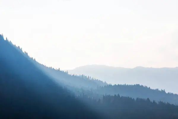 Güzel Sisli Dağ Ormanı Manzara Manzara — Stok fotoğraf