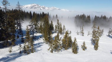 arka plan olarak karlı dağların doğal görünümü