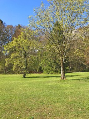 güzel doğa fon manzara