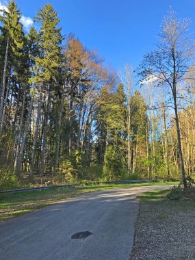 güzel doğa fon manzara