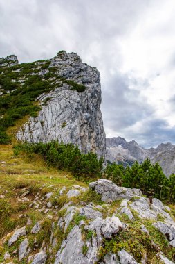 güzel doğa fon manzara