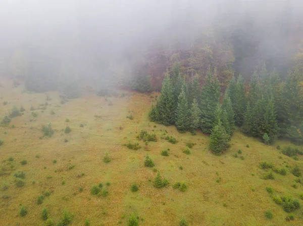 美丽的山景山作为背景 — 图库照片