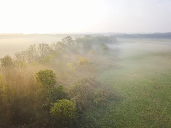 güzel vahşi doğa fon manzara