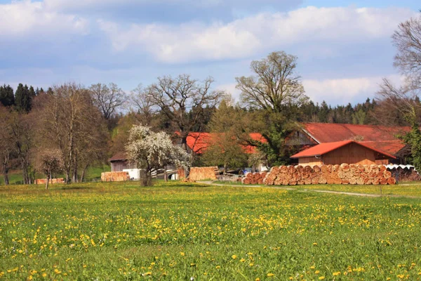 Drewno Kłody Przez Stodołę Zielonym Polu Bawarii — Zdjęcie stockowe