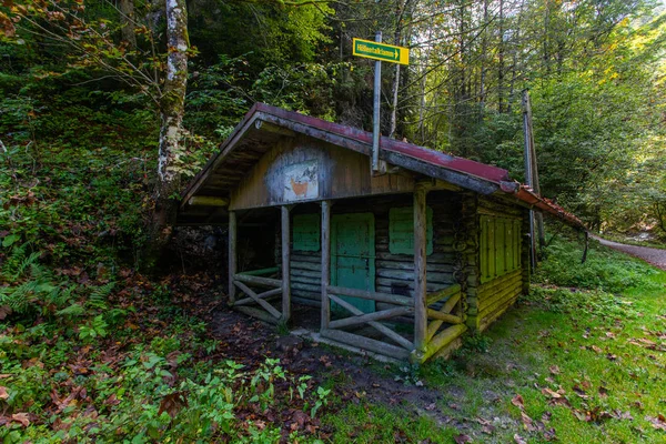 Μικρά Βρύα Καλύπτονται Ξύλινο Εξοχικό Σπίτι Στις Βαυαρικές Άλπεις — Φωτογραφία Αρχείου