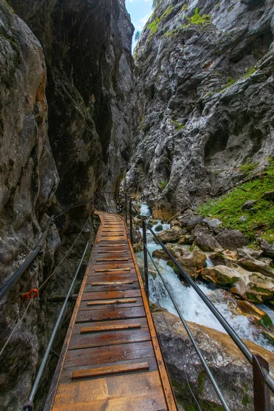 Pont Pied Bois Bavière — Photo