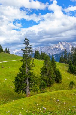 güzel doğa fon manzara