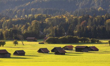 güzel doğa fon manzara