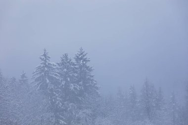 güzel doğa fon manzara