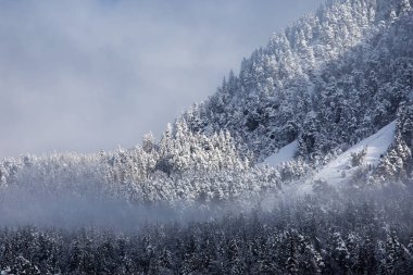 güzel doğa fon manzara