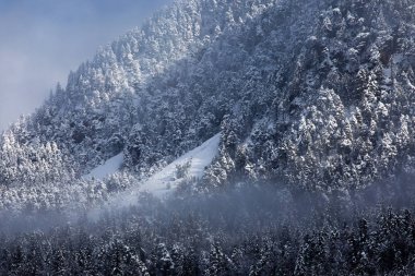 güzel doğa fon manzara
