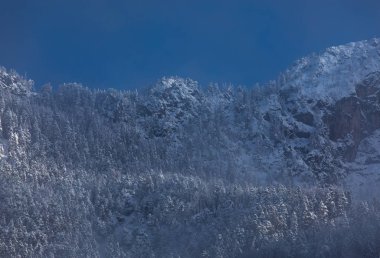 güzel doğa fon manzara