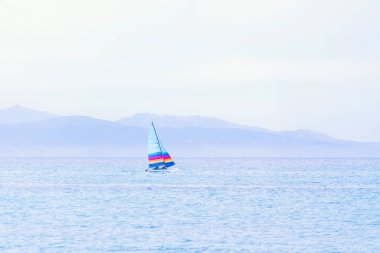 vahşi doğa zemin güzel doğal görünümü