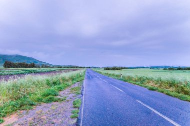 güzel doğa fon manzara