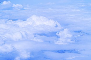 vahşi doğa zemin güzel doğal görünümü