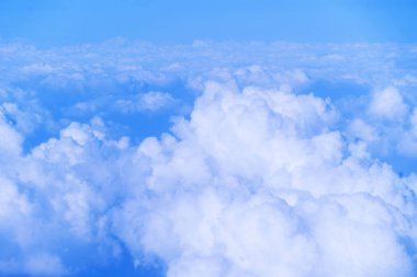 vahşi doğa zemin güzel doğal görünümü