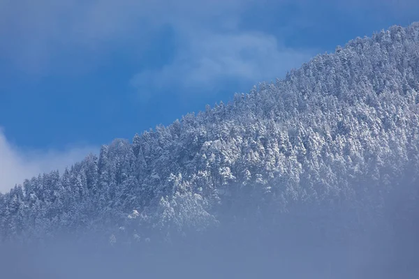 Vista Panoramica Bellissimo Scenario Naturale — Foto Stock