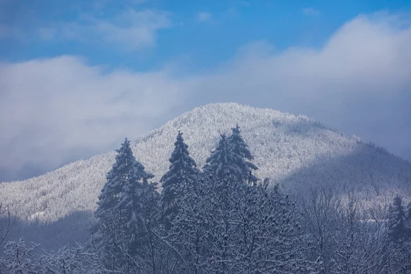 Schilderachtig Uitzicht Prachtige Natuur Achtergrond — Stockfoto