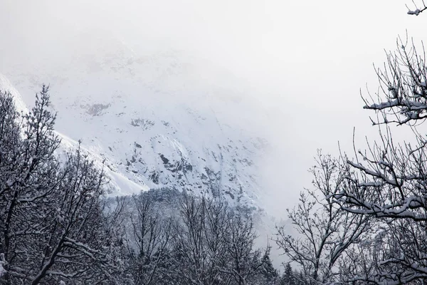 Vue Panoramique Belle Nature Toile Fond — Photo