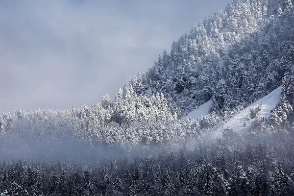 güzel doğa fon manzara