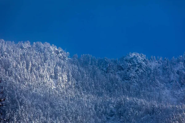 Vista Panoramica Bellissimo Scenario Naturale — Foto Stock