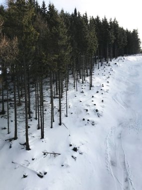 vahşi doğa zemin güzel doğal görünümü
