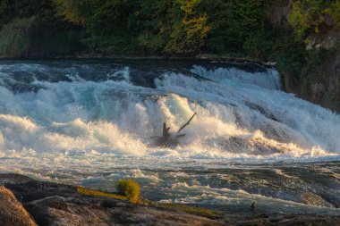 vahşi doğa zemin güzel doğal görünümü