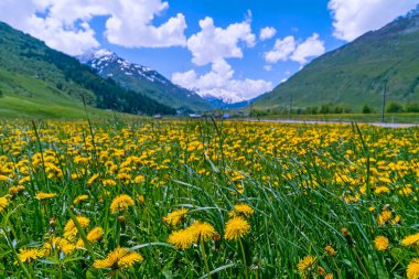 görkemli dağların arka plan güzel doğal görünümü