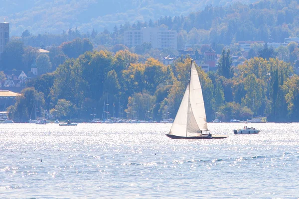 Vue Panoramique Voilier Sur Lac Zurich — Photo