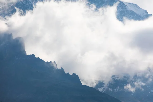 vahşi doğa zemin güzel doğal görünümü