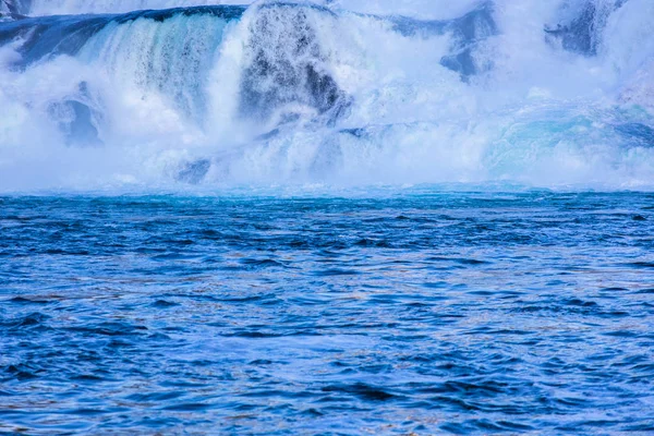 vahşi doğa zemin güzel doğal görünümü