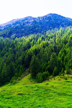 görkemli dağların arka plan güzel doğal görünümü