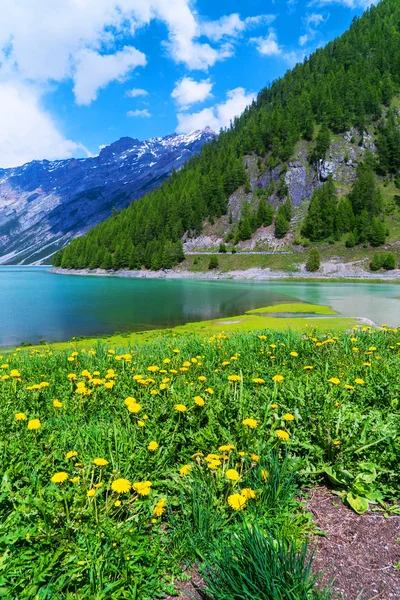 Живописный Вид Озеро Красивых Горах Альп Швейцарии — стоковое фото