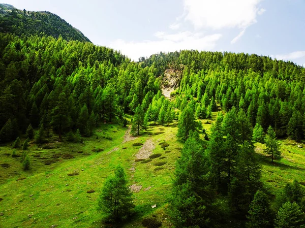 瑞士美丽的阿尔卑斯山脉的风景 — 图库照片