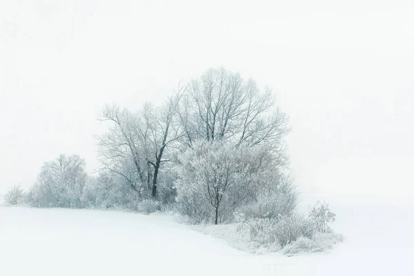 Vista Panorâmica Inverno Paisagem Fundo — Fotografia de Stock