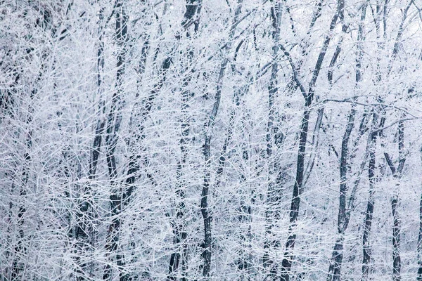 Vue Panoramique Sur Fond Paysage Hivernal — Photo