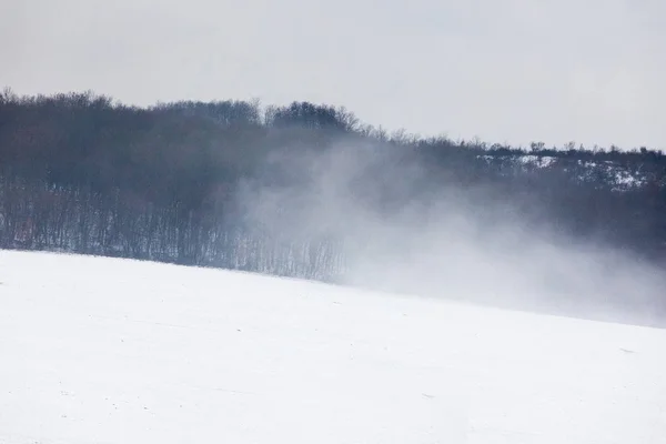 Scenic View Winter Landschap Achtergrond — Stockfoto
