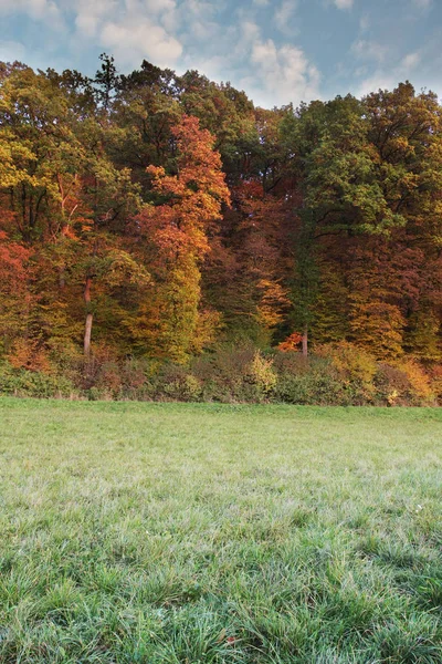 Schöne Malerische Aussicht Auf Natur Hintergrund — Stockfoto