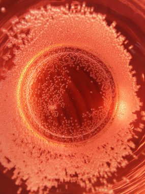 Gül köpüklü şarap görüntüsü