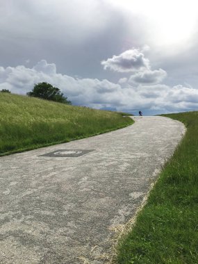 Çeşitli bitkilerle dolu arazi manzarası
