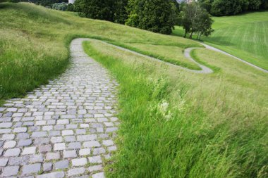 yaz parkında yol manzara
