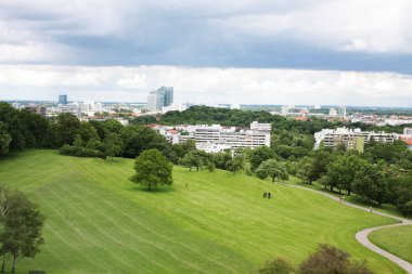 Parktaki yeşil ağaç.