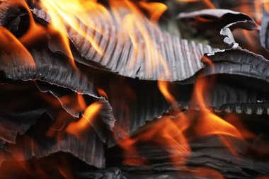 Yanan ateşin yakın görüntüsü