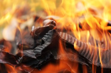 Yanan ateşin yakın görüntüsü