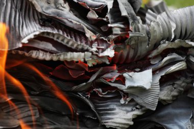 Yanan ateşin yakın görüntüsü